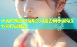 天美传媒股份有限公司是否属于国有企业的权威解读