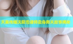 天美传媒沈茹雪律师卖身救夫故事揭秘