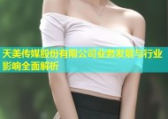 天美传媒股份有限公司业务发展与行业影响全面解析