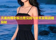 天美传媒老板出差见闻与未来发展战略探秘