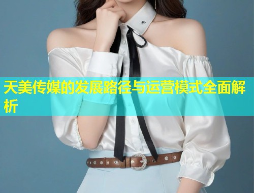 天美传媒的发展路径与运营模式全面解析  第1张