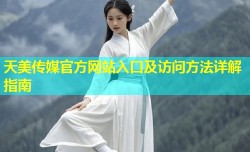天美传媒官方网站入口及访问方法详解指南