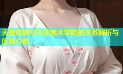 天美传媒与天津美术学院的关系解析与区别介绍
