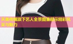 天美传媒旗下艺人全景图鉴展示精彩风采与魅力