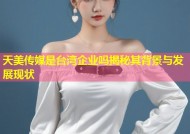 天美传媒是台湾企业吗揭秘其背景与发展现状