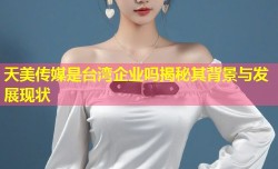 天美传媒是台湾企业吗揭秘其背景与发展现状