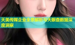 天美传媒企业全景解析与天眼查数据深度洞察