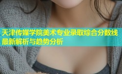 天津传媒学院美术专业录取综合分数线最新解析与趋势分析