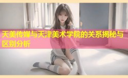 天美传媒与天津美术学院的关系揭秘与区别分析