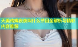天美传媒夜夜叫什么节目全解析与精彩内容推荐