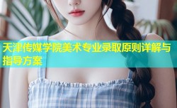 天津传媒学院美术专业录取原则详解与指导方案