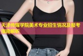 天津传媒学院美术专业招生情况及报考指南解析