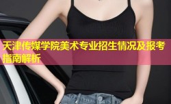 天津传媒学院美术专业招生情况及报考指南解析