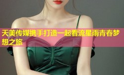 天美传媒携手打造一起看流星雨青春梦想之旅