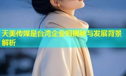 天美传媒是台湾企业吗揭秘与发展背景解析