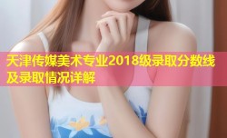 天津传媒美术专业2018级录取分数线及录取情况详解
