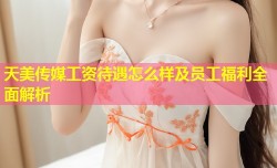 天美传媒工资待遇怎么样及员工福利全面解析