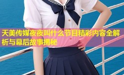 天美传媒夜夜叫什么节目精彩内容全解析与幕后故事揭秘