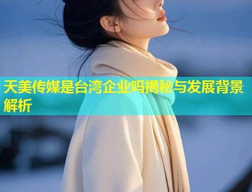 天美传媒是台湾企业吗揭秘与发展背景解析  第1张