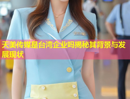 天美传媒是台湾企业吗揭秘其背景与发展现状  第2张