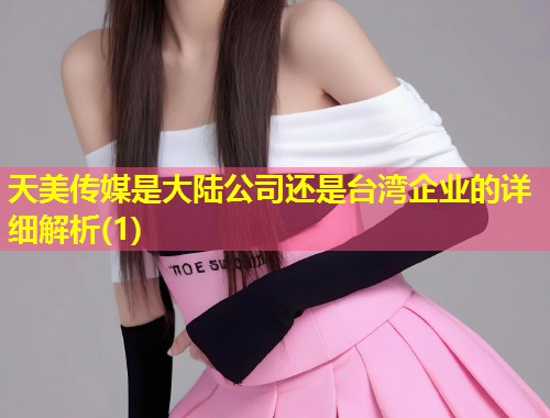 天美传媒是大陆公司还是台湾企业的详细解析(1)  第1张